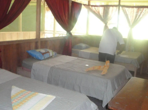 Amazon King Lodge