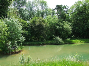 The Dairy