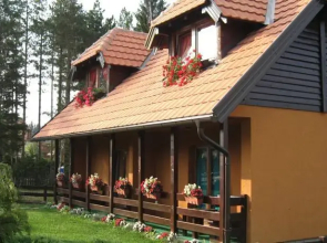 Apartments Tara Viva