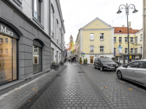 Old Town Marko Apartment