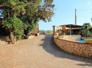 Trilo Noce Shared Pool