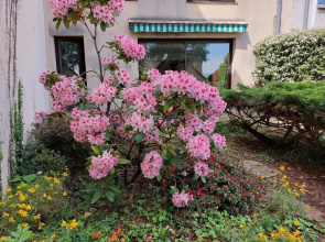 Le DenysPuech 55m2 plein centre avec jardin!