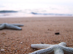 Sarita Chalet & Spa Hotel