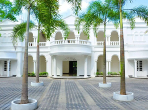 Bougain Villa