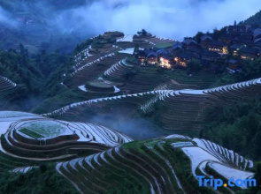 Chenyunxuan·Cloud Pool Panoramic Hotel (Jinfo Ding No.3 Observation Deck Branch)