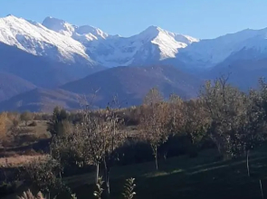 La Curtea Porumbaceana