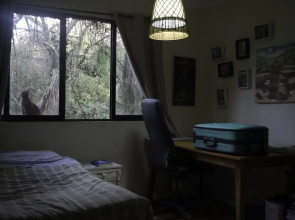 Residencia Holzmann