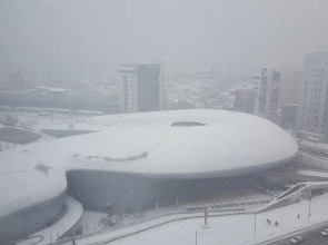 Hotel Migliore Seoul