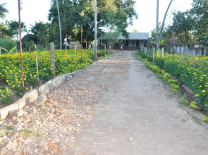 As Garden