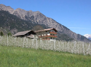 Mareinhof - Urlaub auf dem Apfelbauernhof