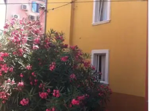 Guesthouse Vila Mate