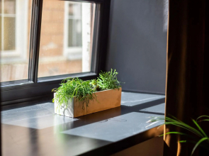 #stayhere - Historic Vilnius Old Town Chic Studio