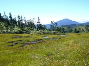 Nanairisanso