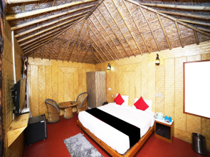 Collection O 43836 Nainital Homes And Resort