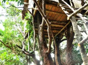 Ten103 Treehouse Bay