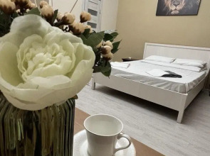 Апартаменты на Васильевском острове