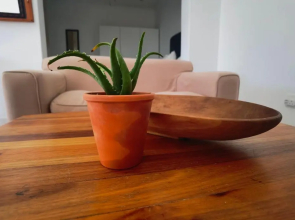 The Yellow Door Guesthouse