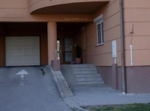 Csalogány Apartman