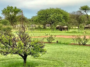 Tamboti Bush Lodge