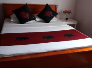 Surf reef guest house