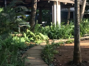 Mango Beach Villas Kihim Alibaug
