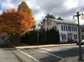 Tawsty Flower - Haines Suites