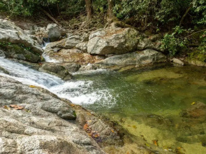 Tayrona Deep Forest Posadas