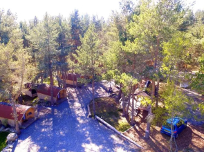 Camping Pod Heaven