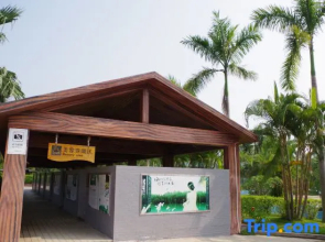 Yangxi Hotspring Resort