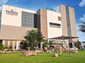 The Divine Resort