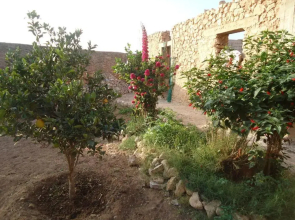 Takad Dream Hostel Rural