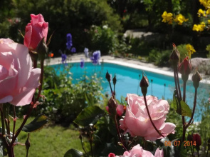 Quinta das Delicias