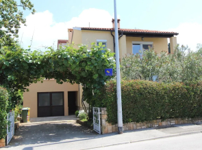 Apartment Rokov