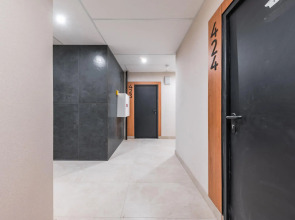 RentalSPb на улице Отважных 10