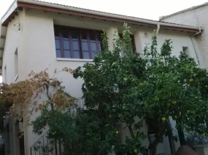 Orange Tree House