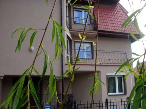Apartamenty Dolna Krakow