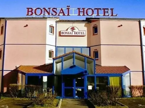 Bonsai Nancy
