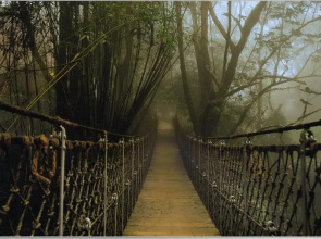 Vythiri Resort