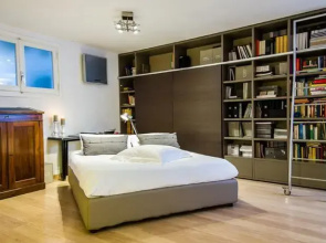 Luxury Apartment