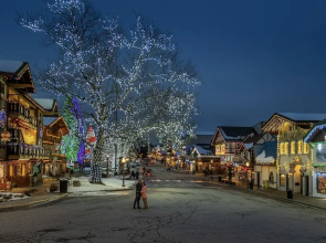 Camp David 1 Bedroom Home by NW Comfy Cabins