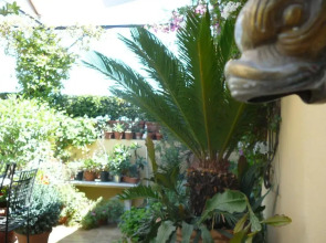 La Terrazza dei Pelargoni B&B