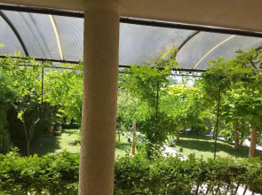 Luxury Apartments Belgrade