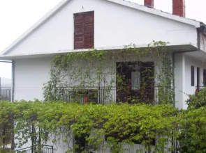 Apartments Ostojić