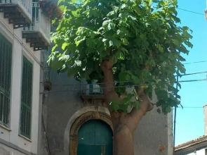 La Casetta di Renato