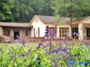30 Degree Garden Resort Hotel