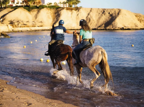 Mövenpick Resort Sharm El Sheik Naama Bay