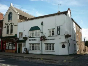 Bay Horse