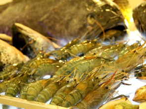 Tan Son Nhat Saigon Hotel