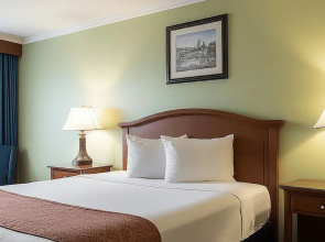 Midtown Premium