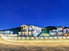 Gyeongju Glam Dog